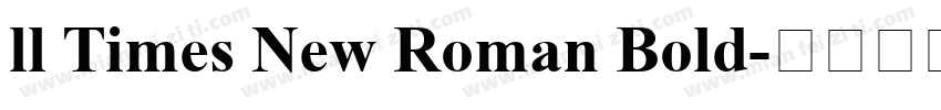 ll Times New Roman Bold字体转换
